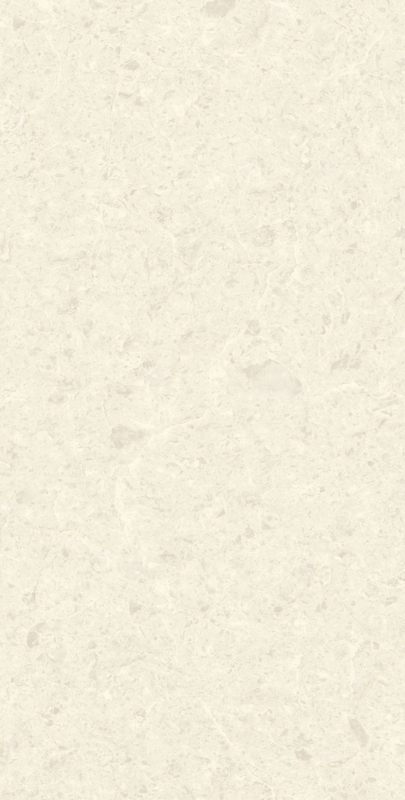 Large White Porcelain Ceramic Wall Floor Tiles Modern Matt Stone Texture 600X1200mm