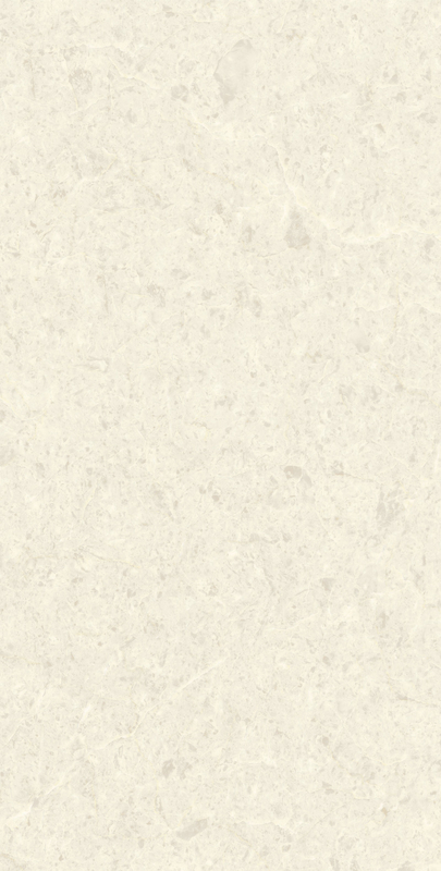 Large White Porcelain Ceramic Wall Floor Tiles Modern Matt Stone Texture 600X1200mm
